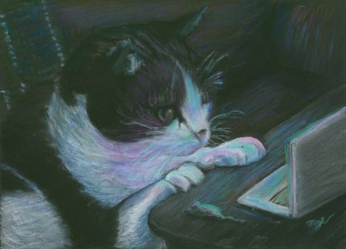 A black and white cat stares intently at a miniature computer screen, many neon hues bouncing back onto his fur from whatever cut scene he's watching.