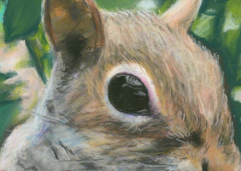 A close-up of a squirrel's eye as it peers out at you from one of Michelle's pastel creations.
