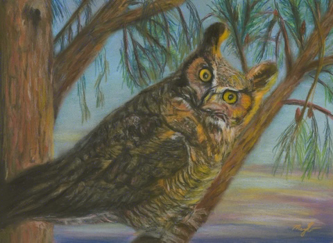 A pastel painting of a great horned owl leaning sideways to peer at you from his perch in a pine tree.