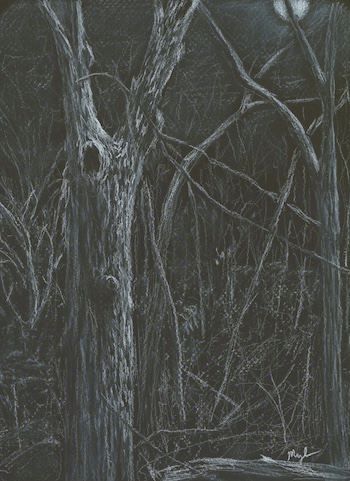 An old skeleton of a tree stands in the foreground of a deciduous forest, their bare trunks and branches washed white by moonlight.
